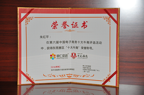 中國電子商務(wù)十大牛商稱號(hào)
